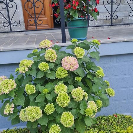 Garden Guest House Пермети Экстерьер фото