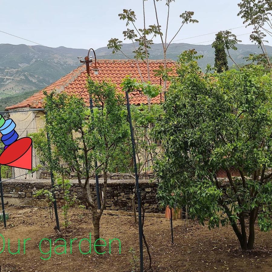 Garden Guest House Пермети Экстерьер фото