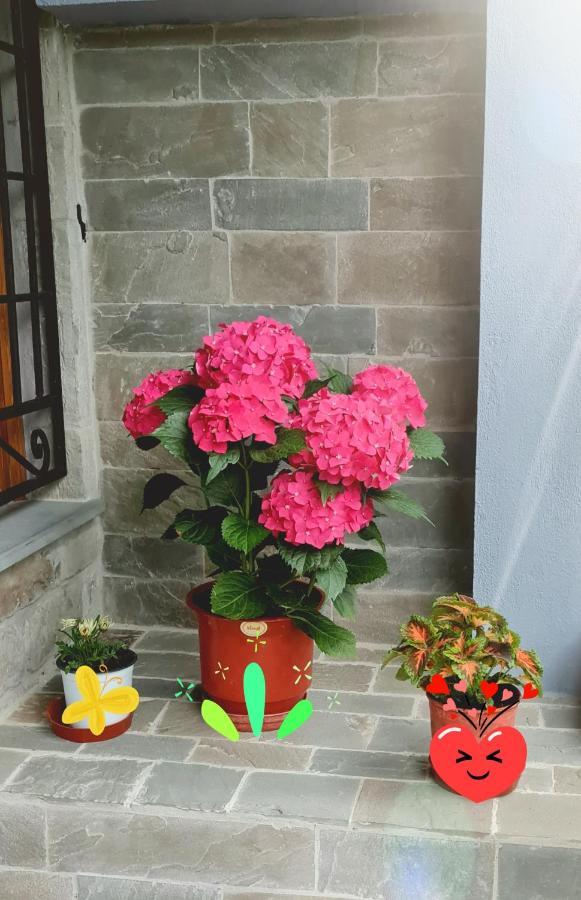 Garden Guest House Пермети Экстерьер фото