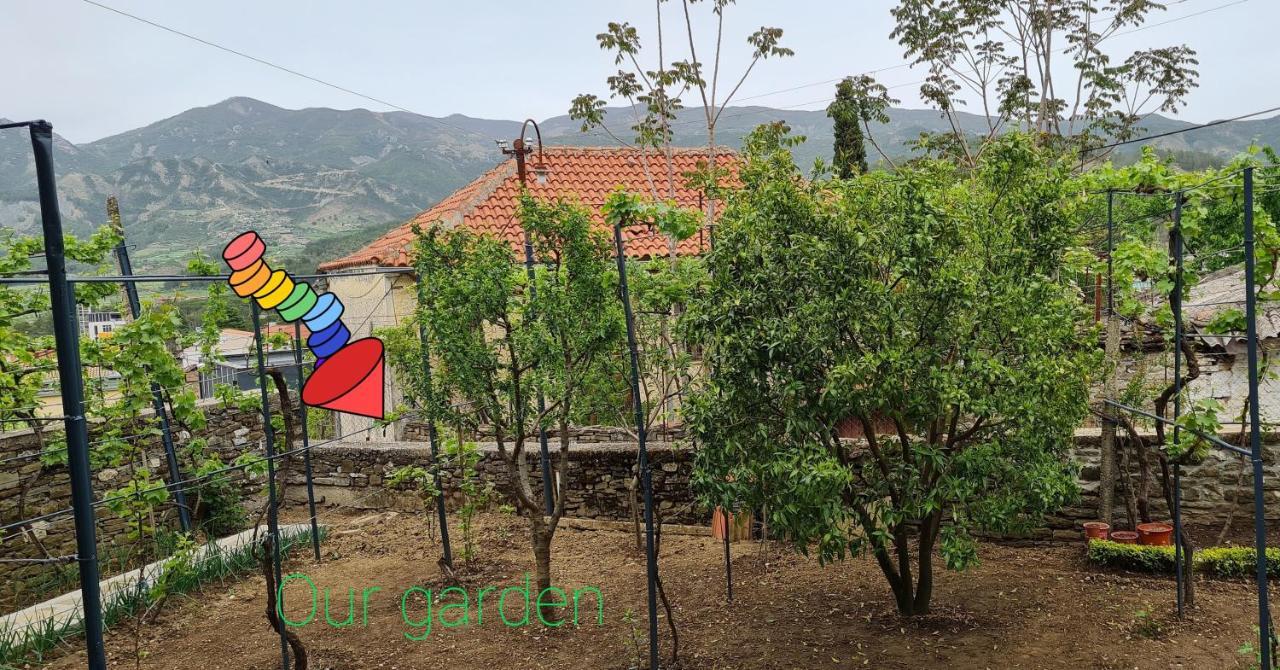 Garden Guest House Пермети Экстерьер фото