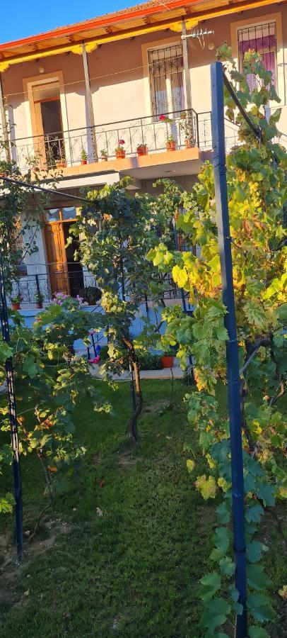 Garden Guest House Пермети Экстерьер фото
