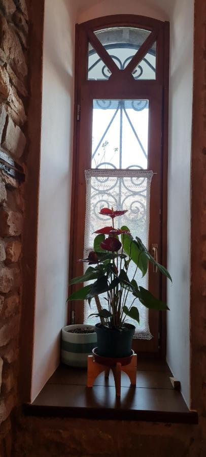 Garden Guest House Пермети Экстерьер фото