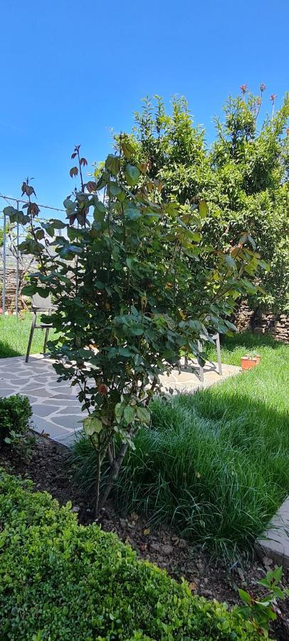 Garden Guest House Пермети Экстерьер фото