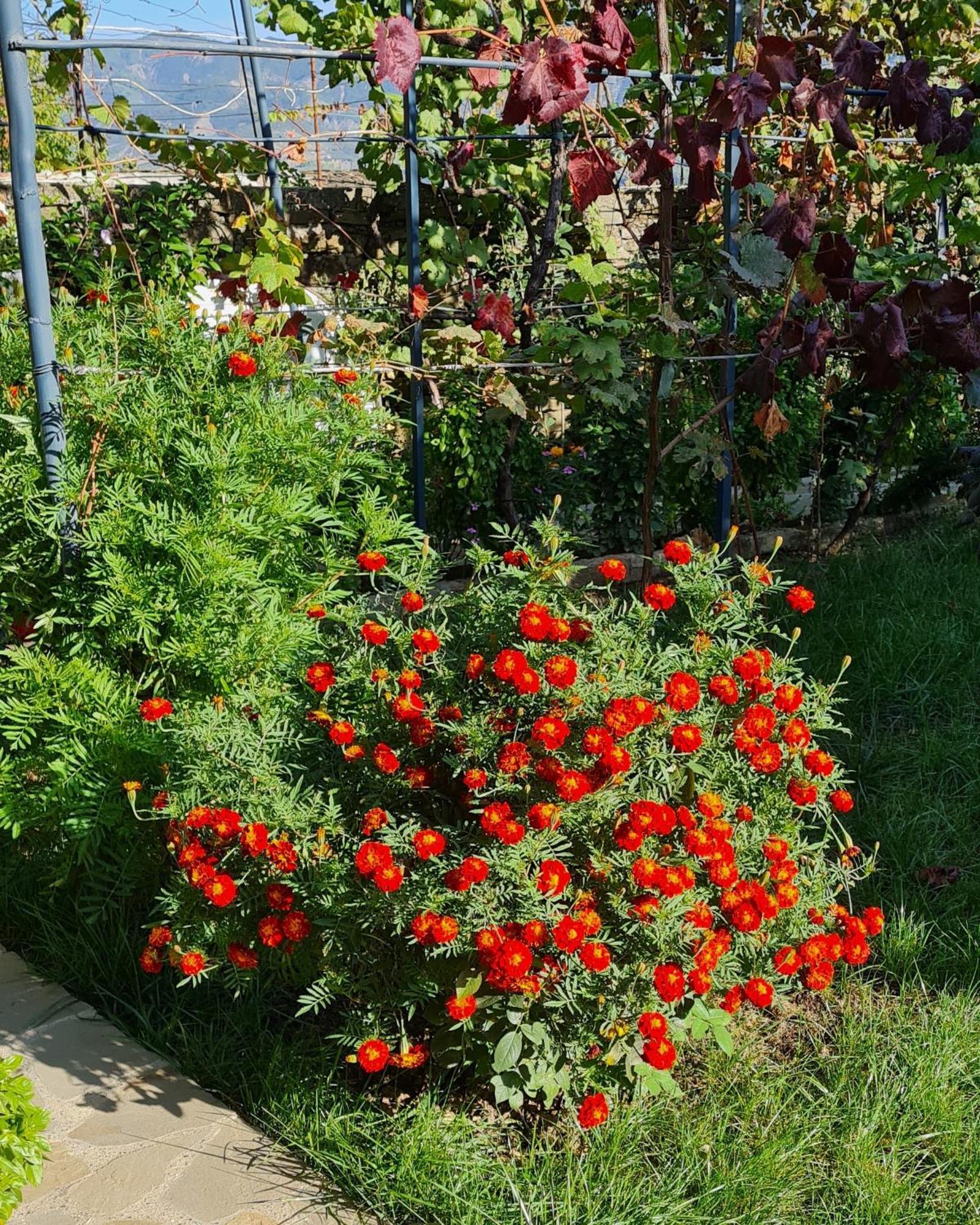 Garden Guest House Пермети Экстерьер фото
