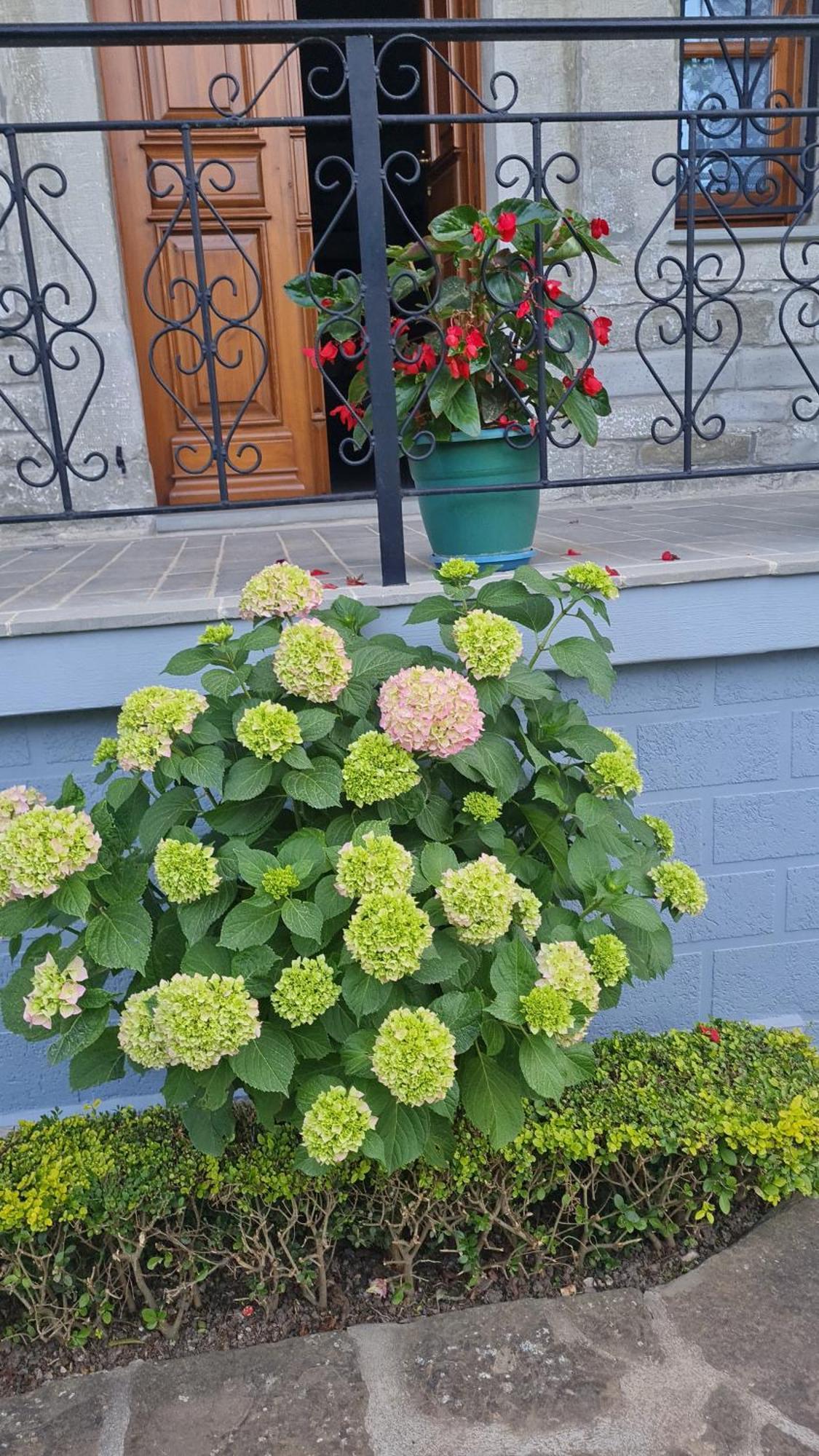Garden Guest House Пермети Экстерьер фото