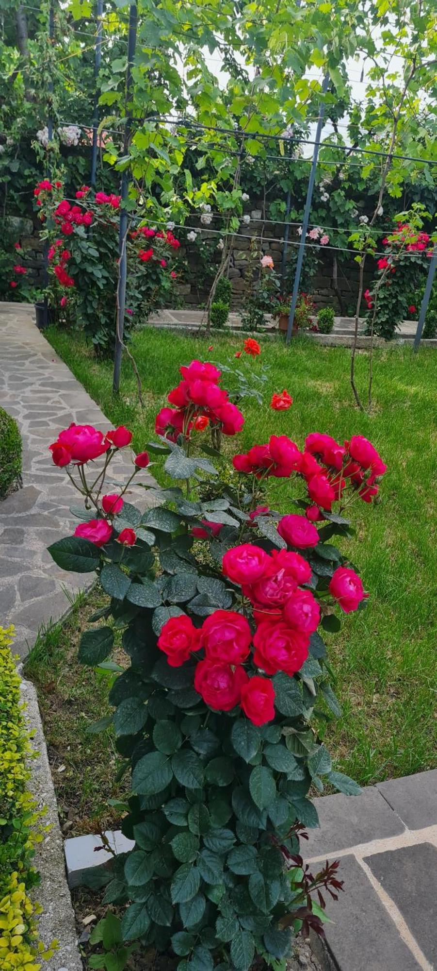 Garden Guest House Пермети Экстерьер фото