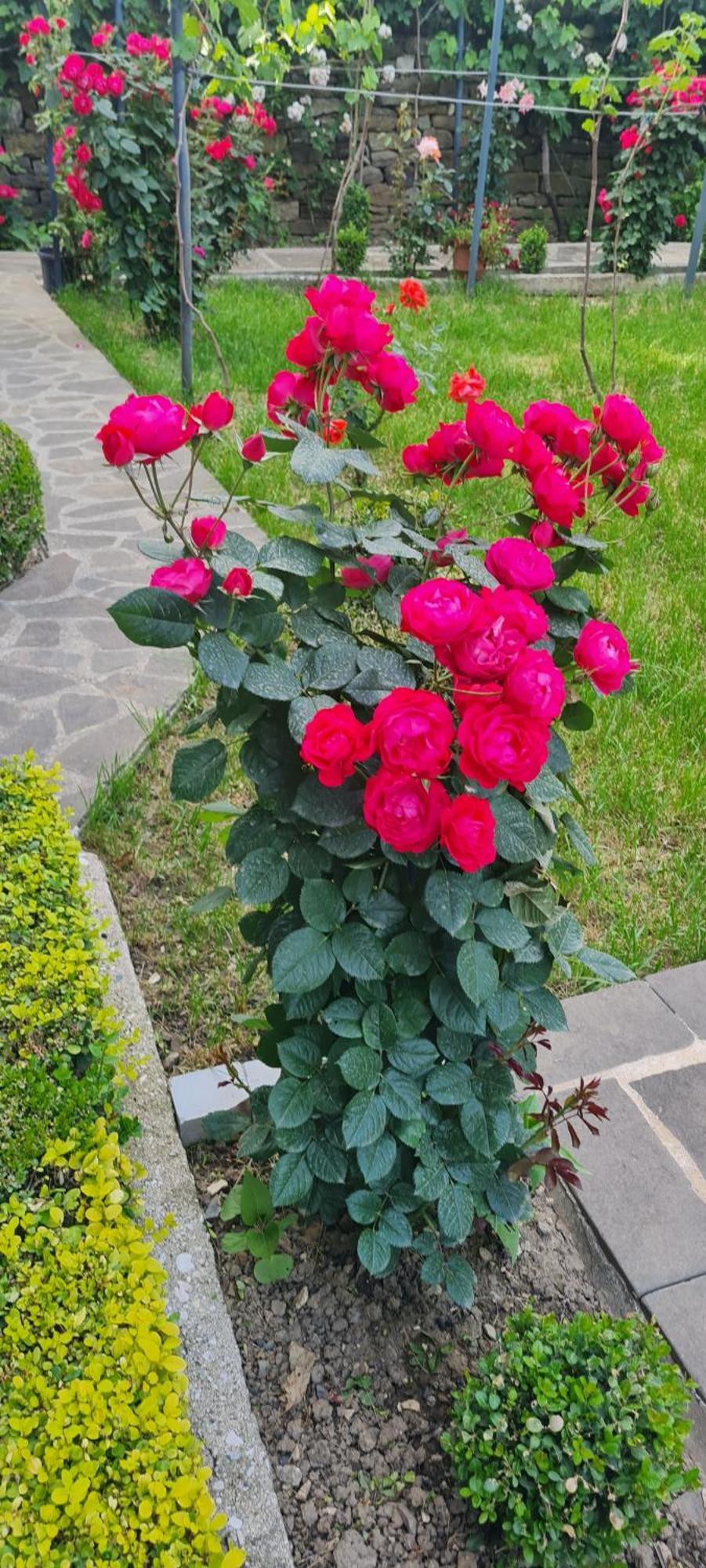 Garden Guest House Пермети Экстерьер фото